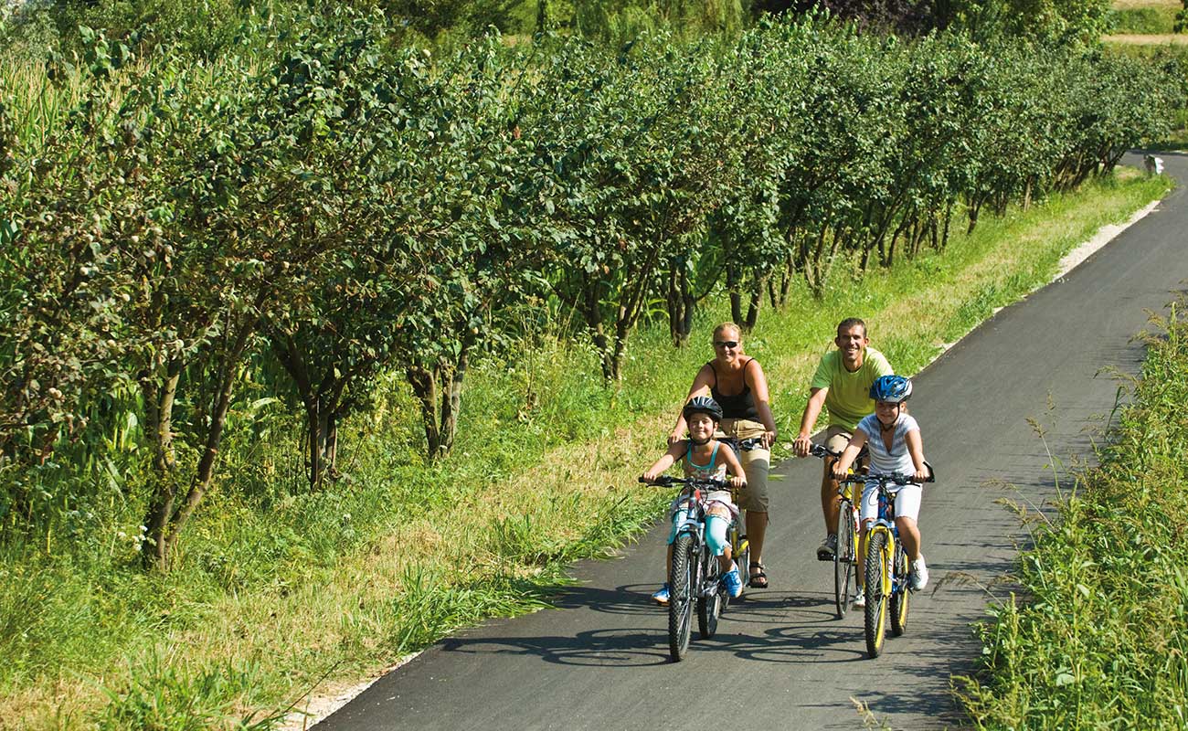 Famiglia in bici su un sentiero in un frutteto